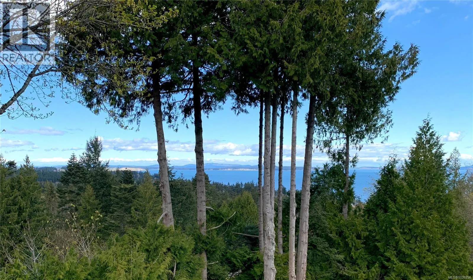 Lot A 5070 Catalina Terr, Saanich, British Columbia V8Y 2A5