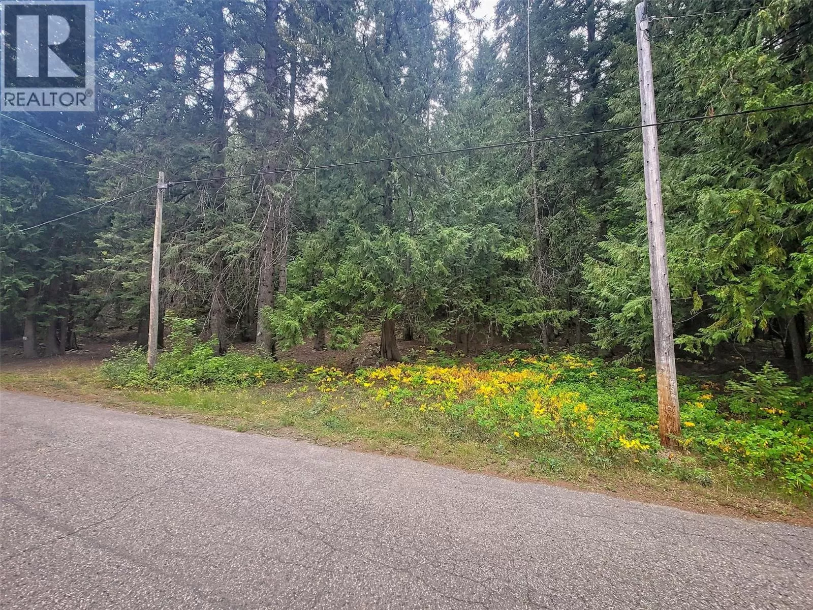 Other for rent: Lot A Maclure Avenue, Salmo, British Columbia V0G 1Z0