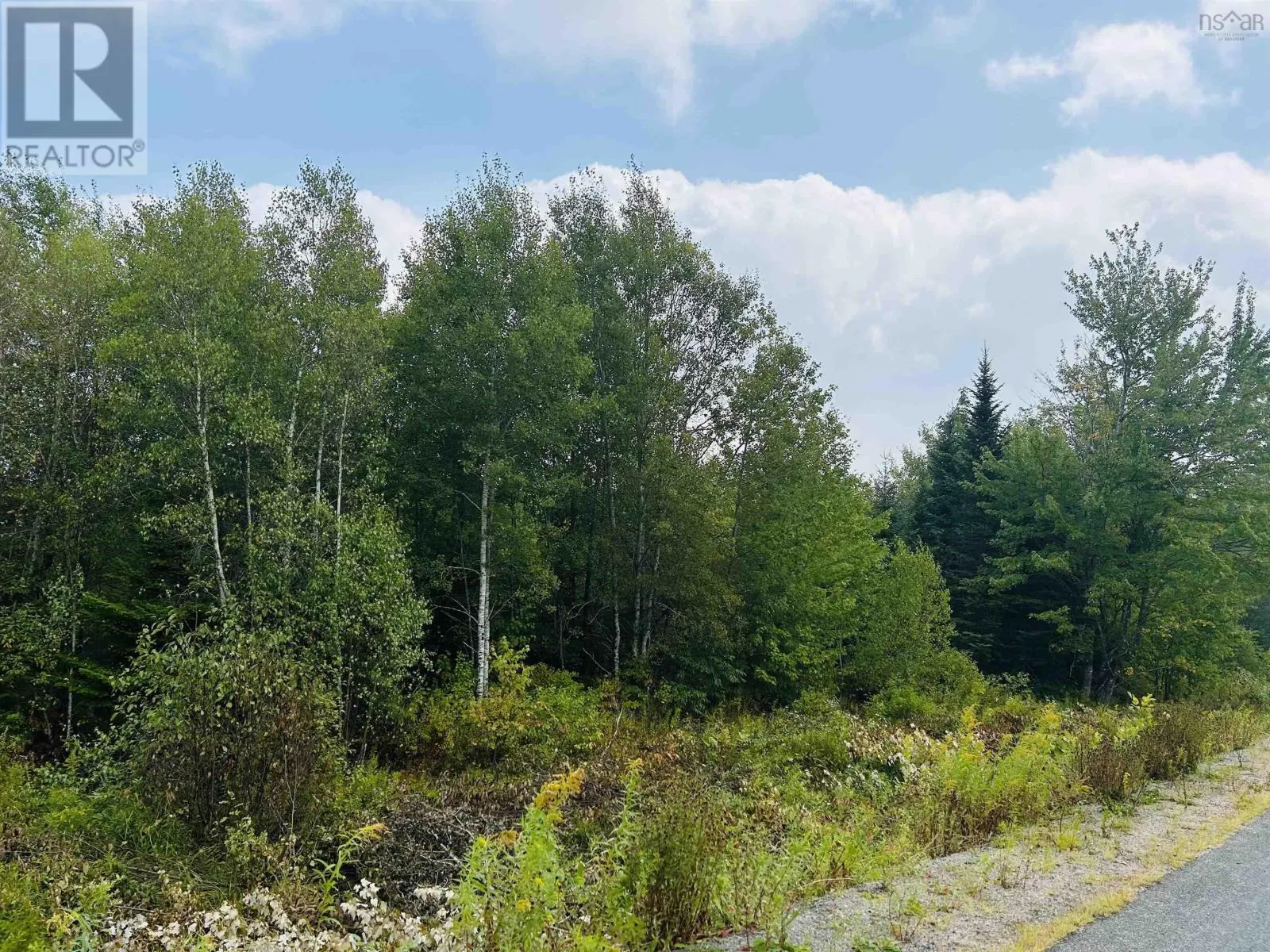 Lot Alpena Road, East Inglisville, Nova Scotia B0S 1M0