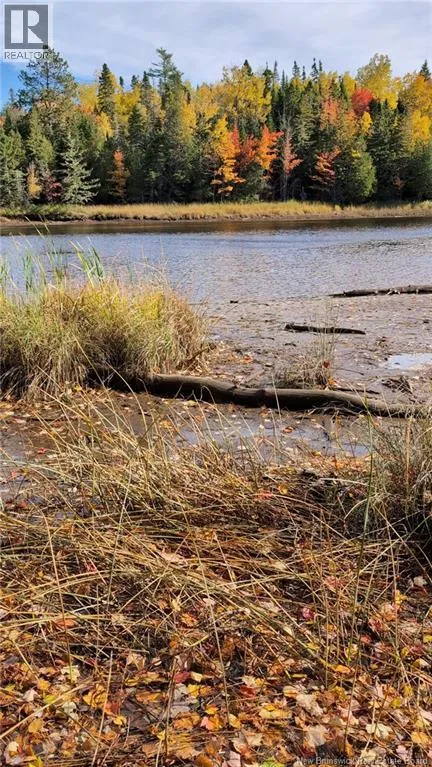 Lot Auburnville Road, Hardwicke, New Brunswick E1N 5P3