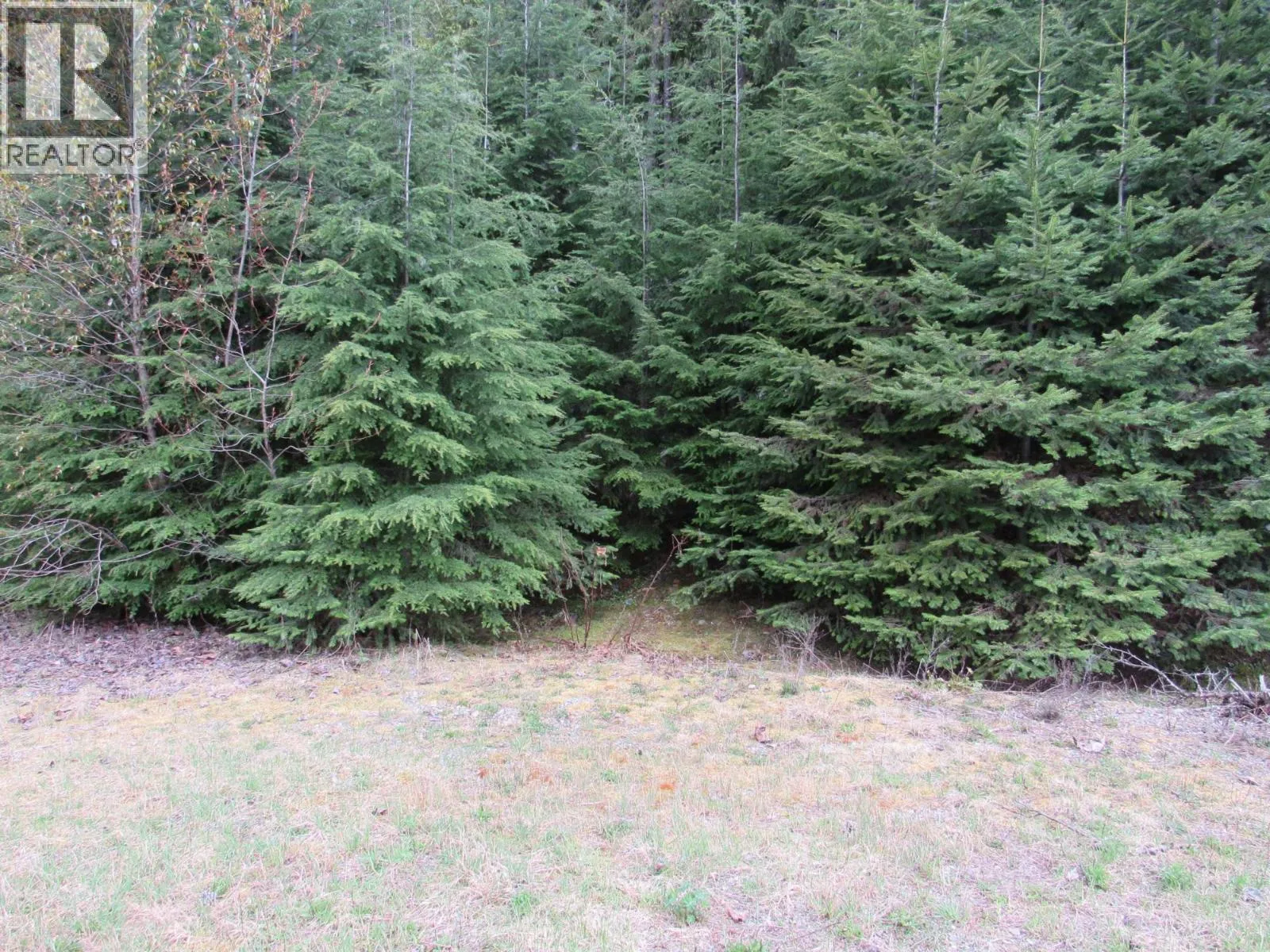Other for rent: Lot B 3 Highway, Salmo, British Columbia V0G 1Z0