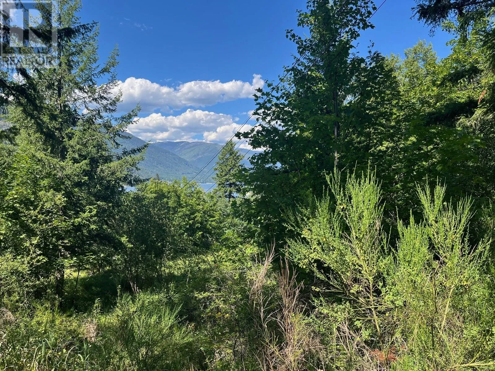 Other for rent: Lot B Government Street, Nelson, British Columbia V1L 3K9