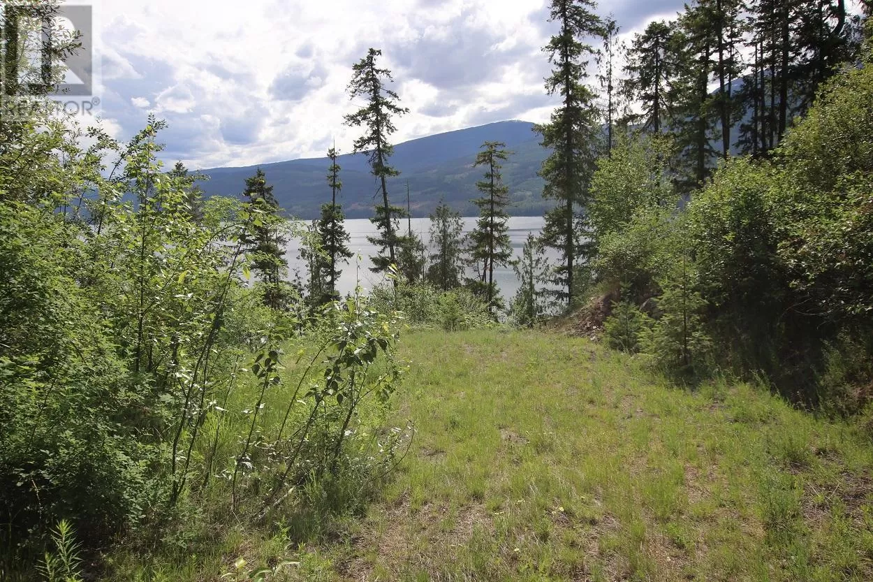 Other for rent: Lot B Highway 23, Nakusp, British Columbia V0G 1R1