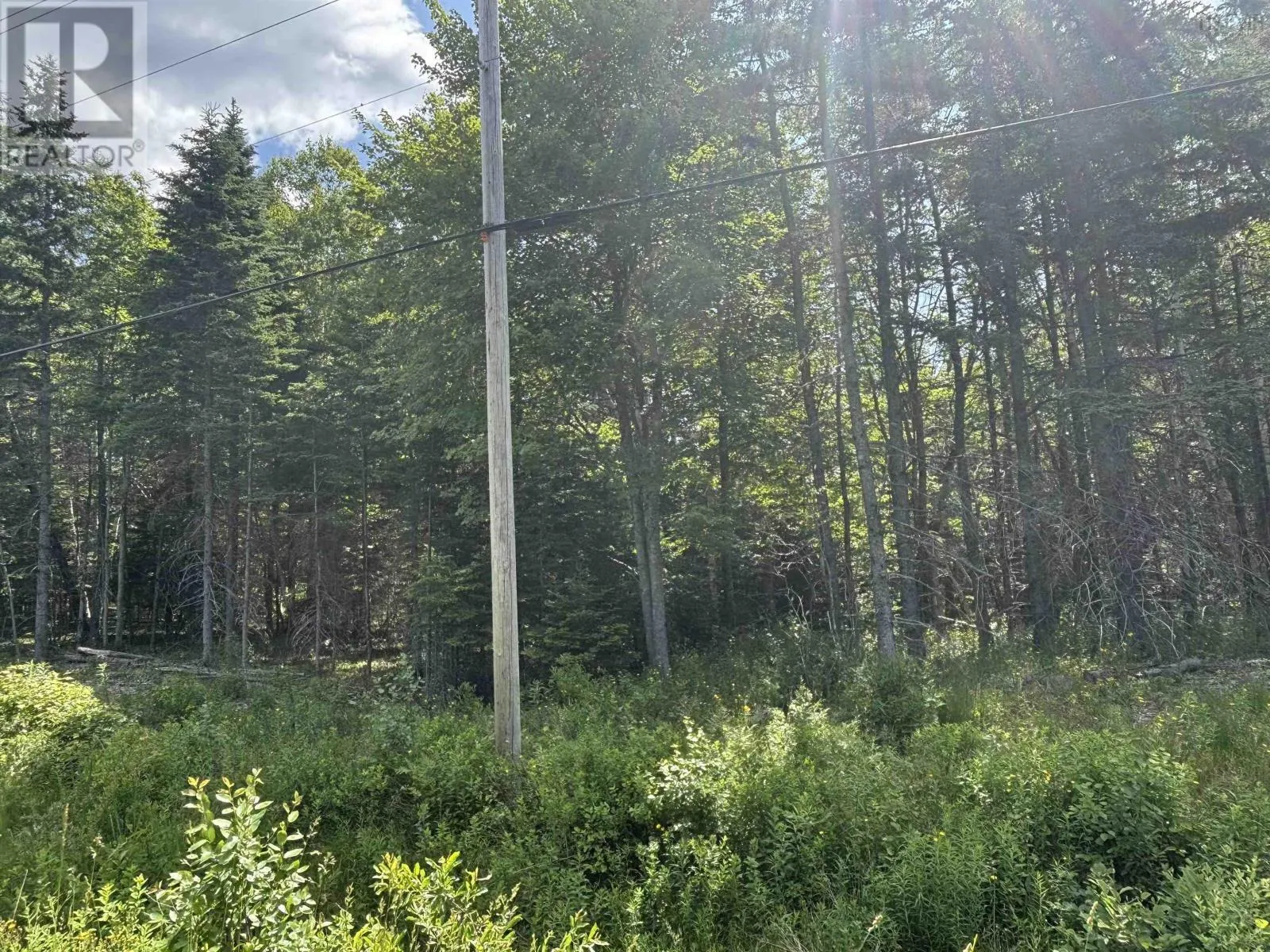 Lot Beechmont Road, Beechmont, Nova Scotia B2A 4K3