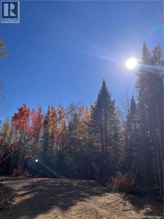 Lot Bells Mills Road, Richibouctou-Village, New Brunswick E4W 1B8