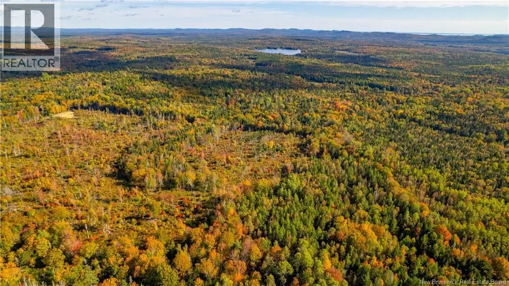 Lot Clatter Road, Rollingdam, New Brunswick E5A 2Y9