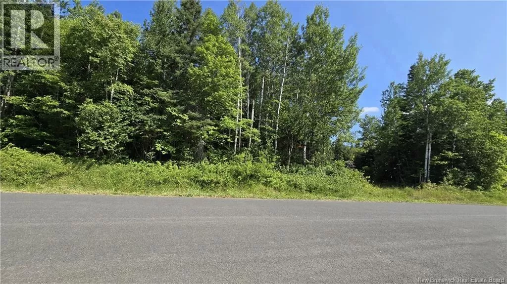 Lot Des Chalets Road, Saint-Arthur, New Brunswick E3N 5P3