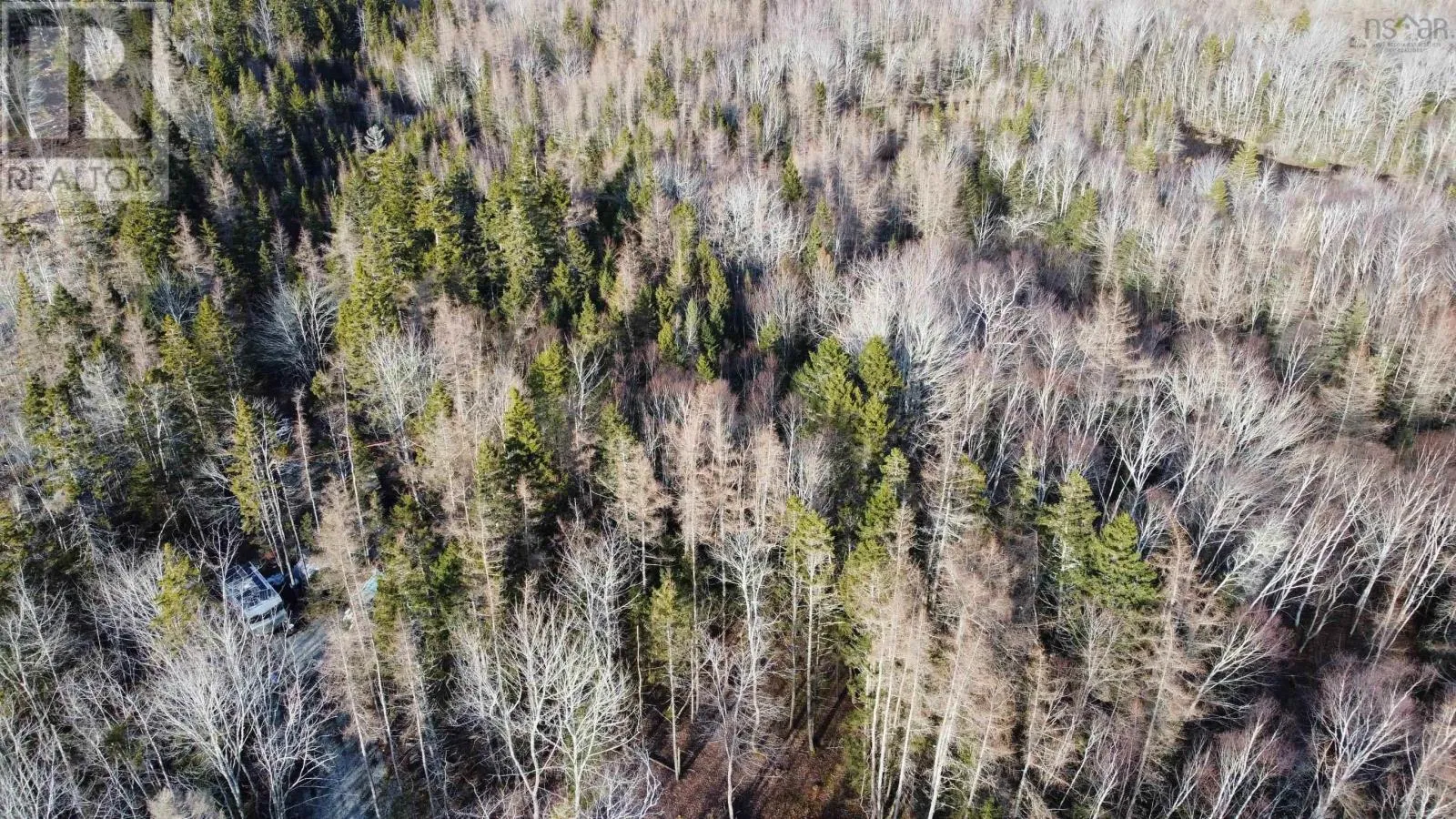 Lot Egypt Road, Pleasant Lake, Nova Scotia B5A 1L8