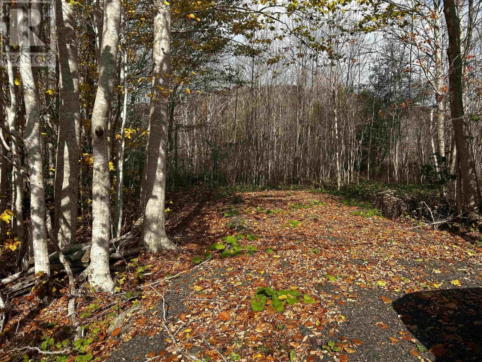 Lot Granville Road, Karsdale, Nova Scotia B0S 1A0