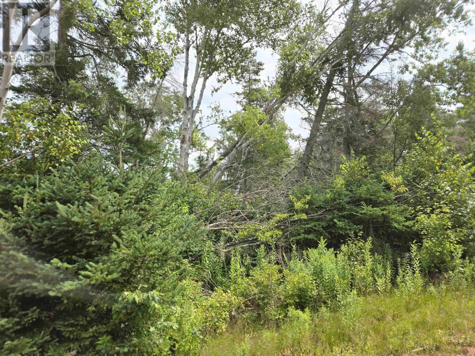 Lot Hazels Way, Gaspereaux, Prince Edward Island C0A 1R0