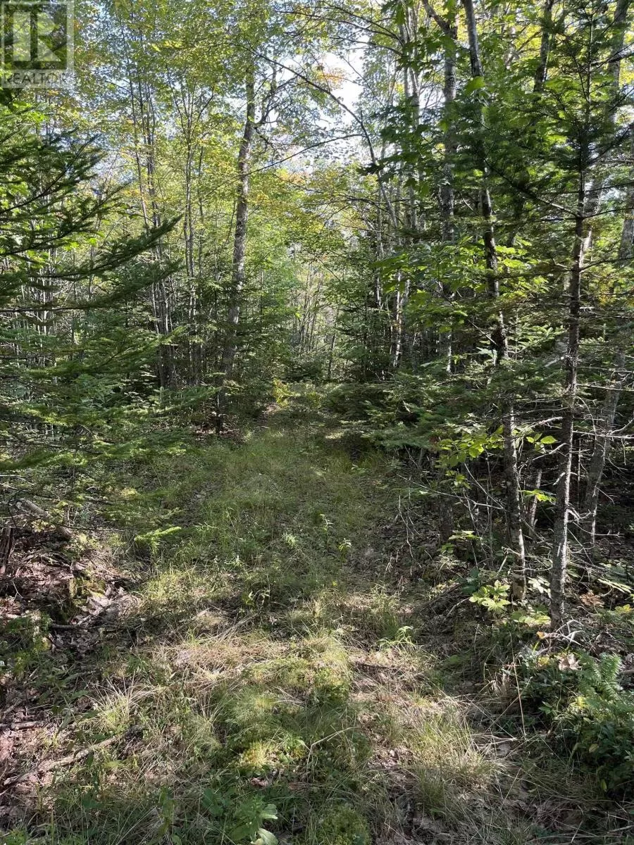 Lot Highway 10, Dalhousie, Nova Scotia B0R 1H0