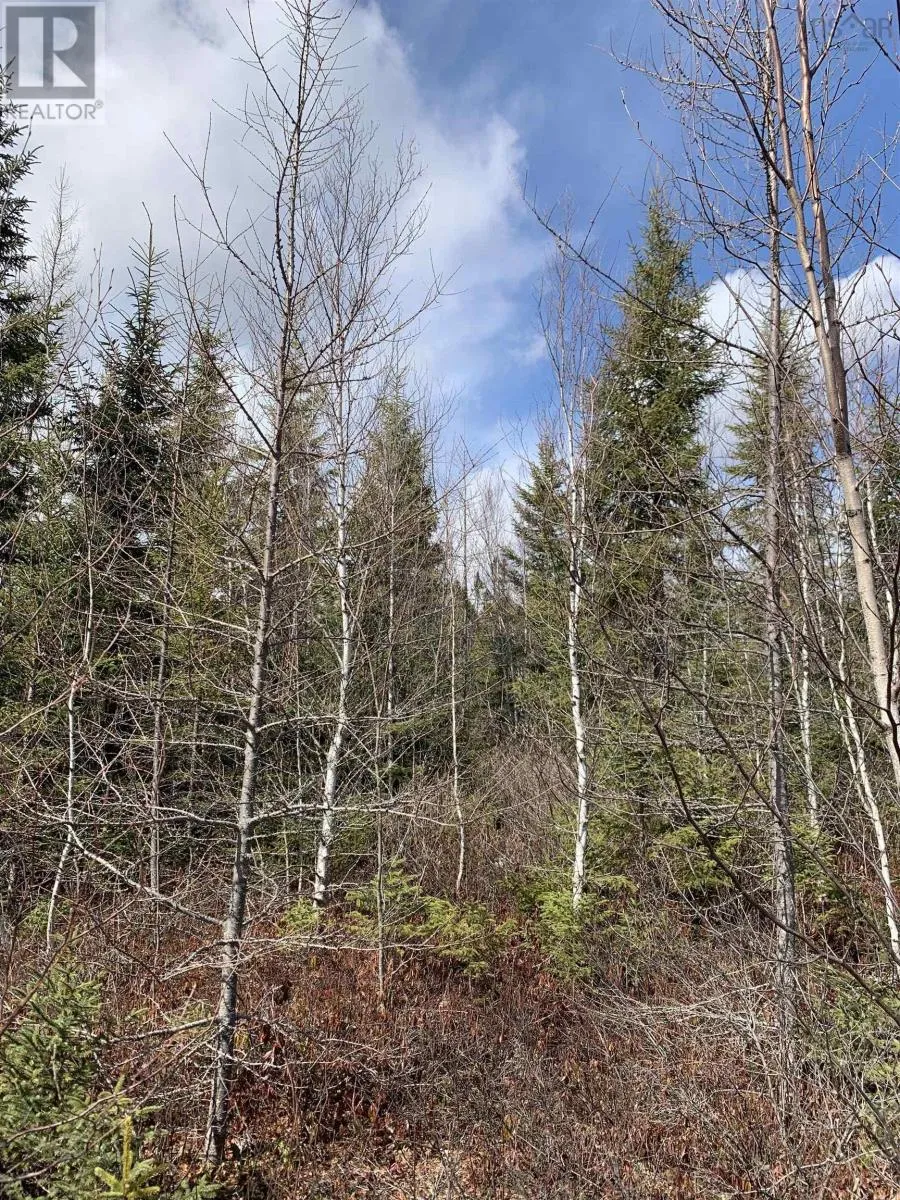 Lot Hunter West Road|wentworth Valley Preserve, Wentworth Valley, Nova Scotia B0M 1Z0