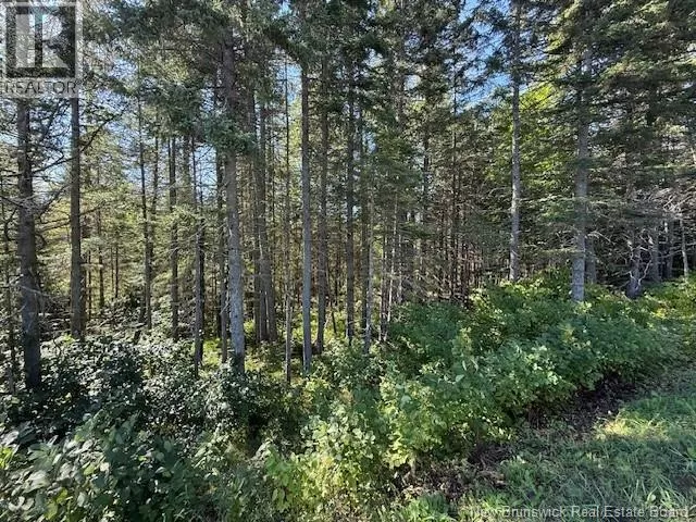 Lot Leblanc Road, Dundee, New Brunswick E8E 1W4