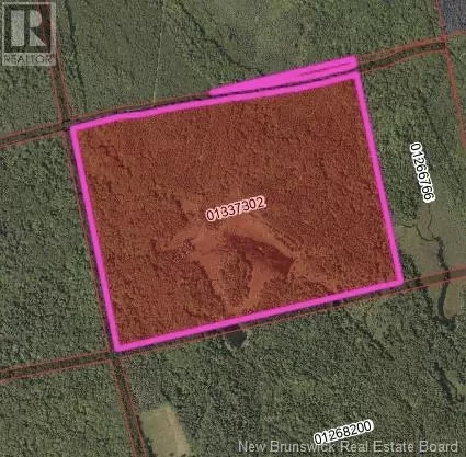 Lot Lower Tower Hill Road, Saint David Ridge, New Brunswick E3L 4S8