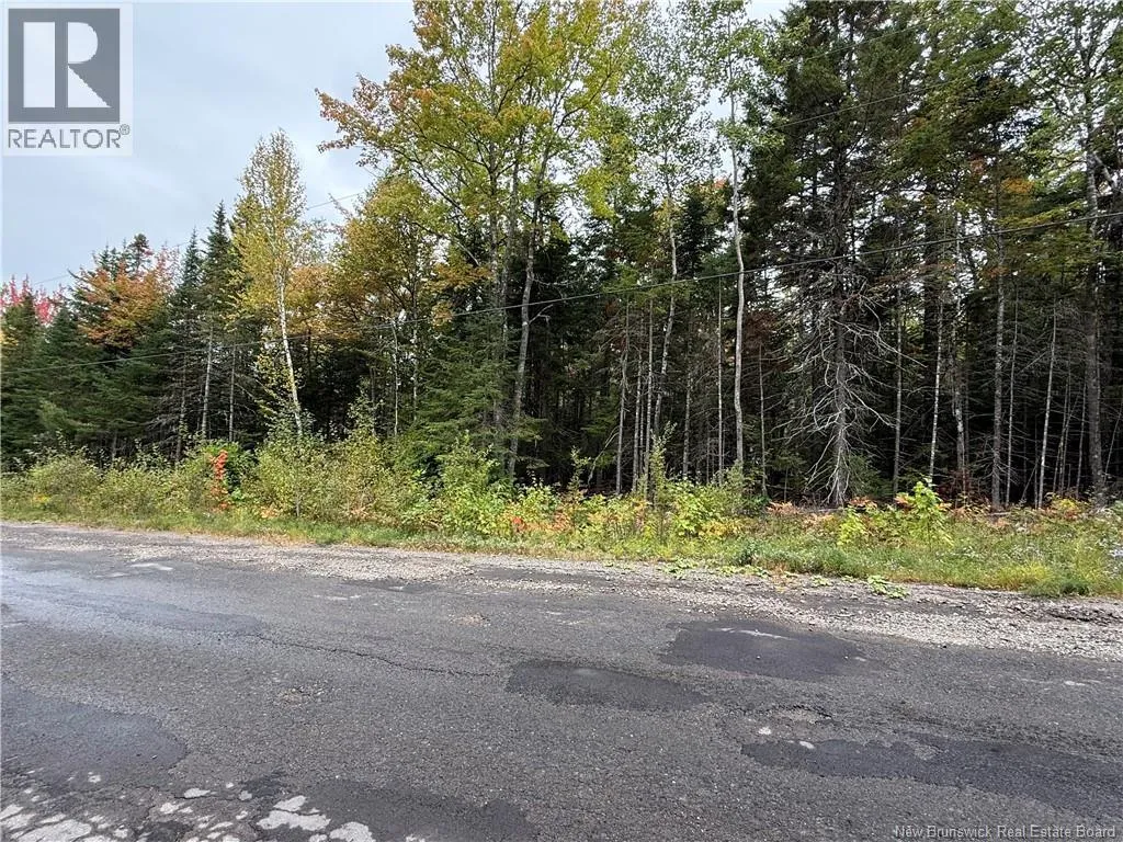 Lot Nickerson Point Road, Wickham, New Brunswick E4C 6C2