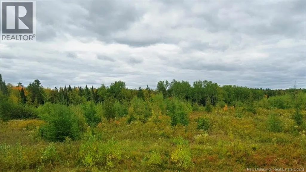 Lot North Black River Road, Black River Bridge, New Brunswick E1N 5S4