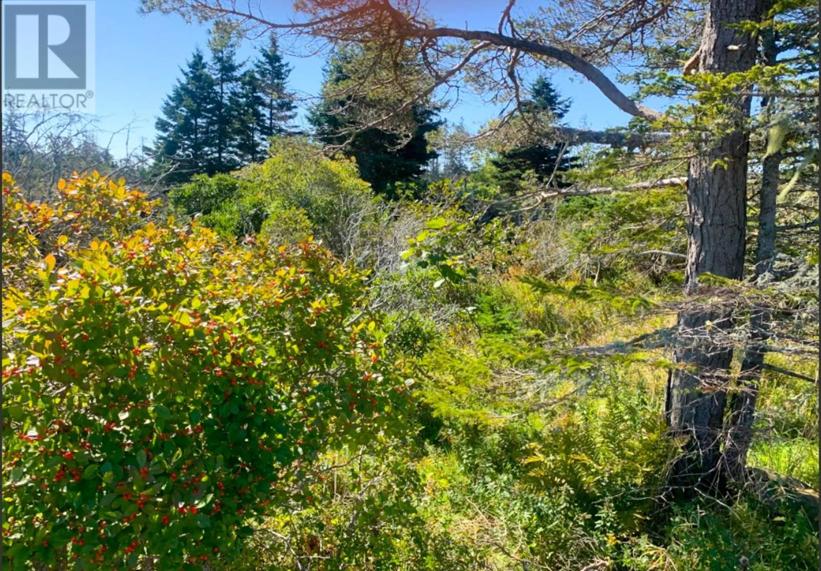 Lot Overton Road, South Chegoggin, Nova Scotia B5A 5G8