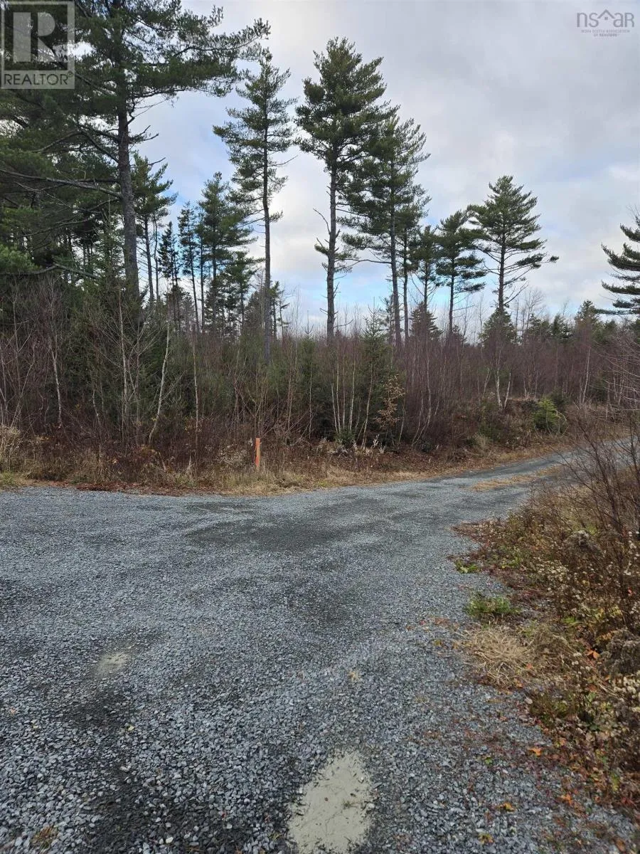 Lot P-1 Baker Road, Mount Pleasant, Nova Scotia B0R 1G0