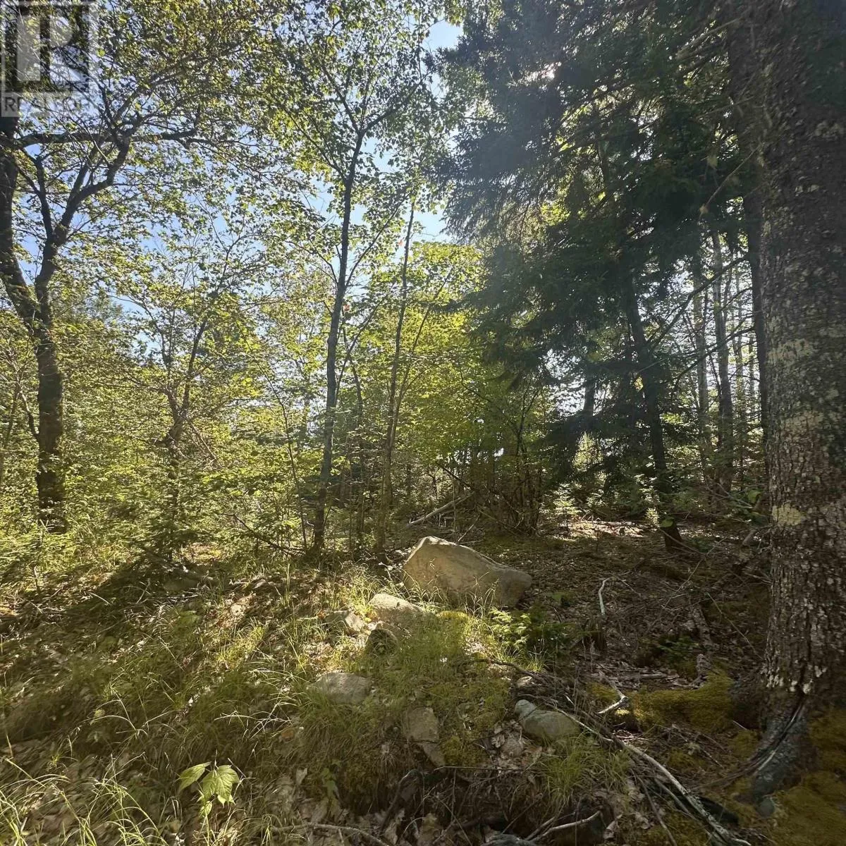 Lot Pid 70241864 Wellington Road, Buckfield, Nova Scotia B0T 1E0