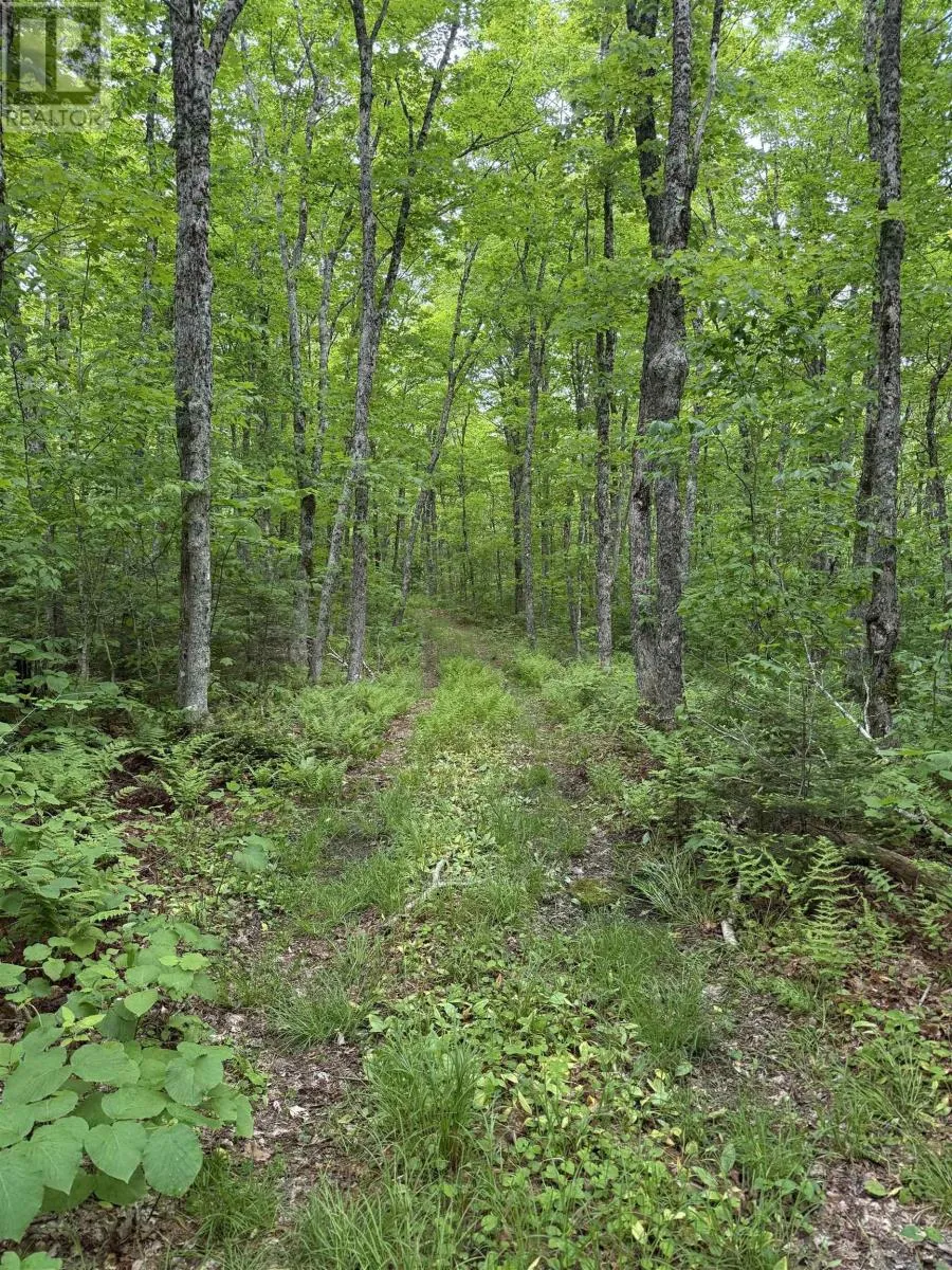 Lot Pid#20098885 Truro Road, New Annan, Nova Scotia B0K 1V0