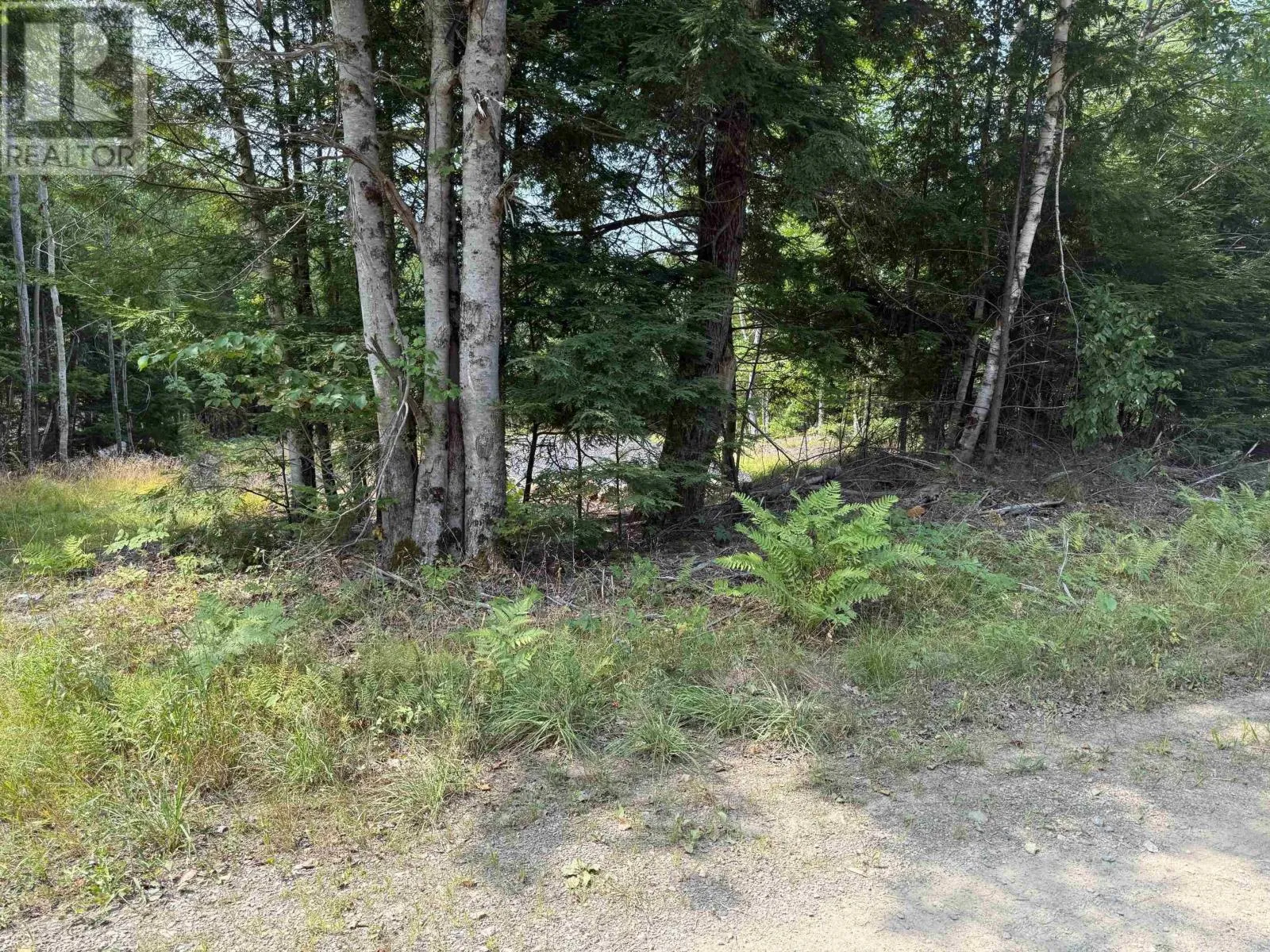 Lot Pid#60724341 Dauphinee Road, Cookville, Nova Scotia B4V 7R7
