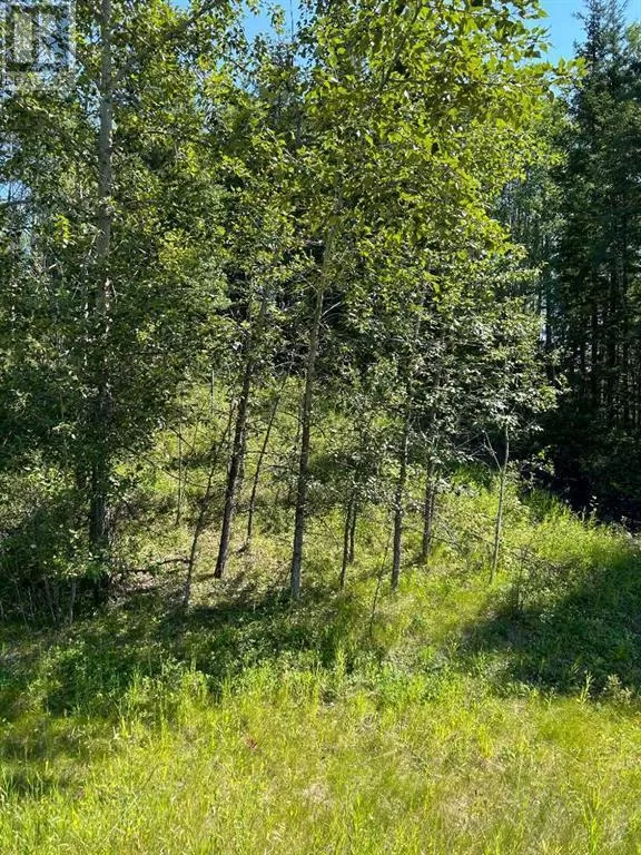 Lot R3 Westridge Road, Rural Woodlands County, Alberta T7S 1P8