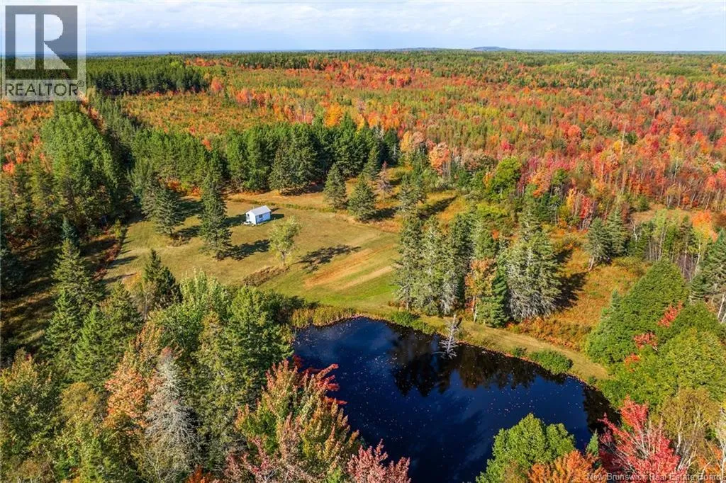 Lot Route 10, Youngs Cove, New Brunswick O0O 0O0