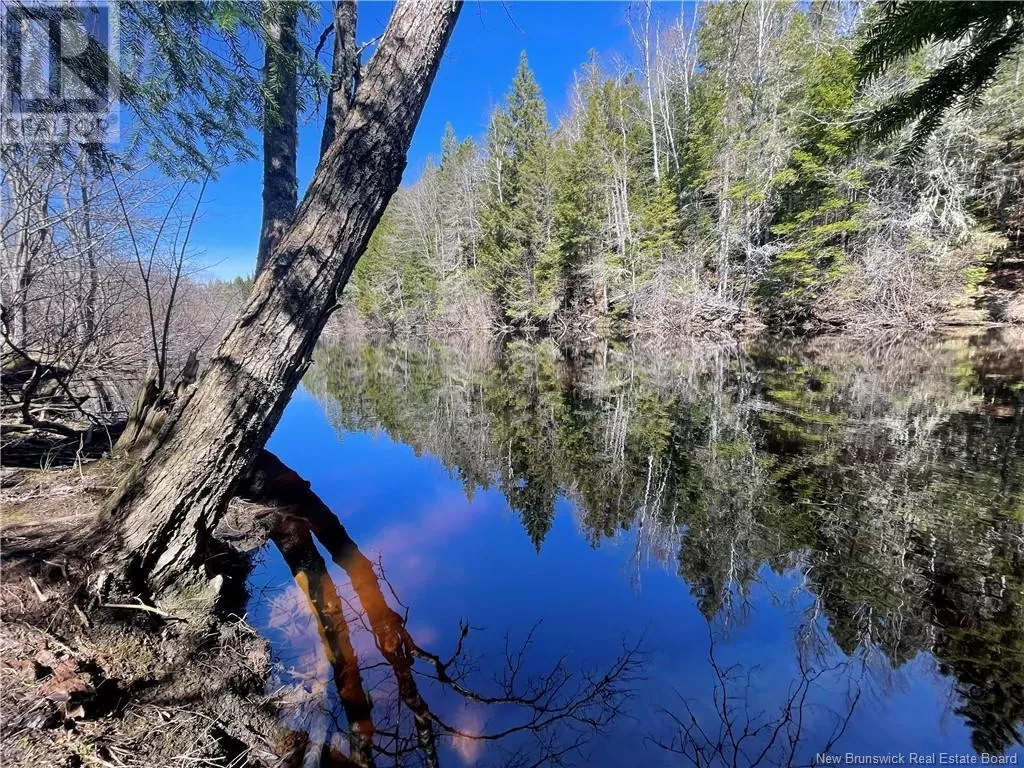 Lot Route 126, Rogersville, New Brunswick E4Y 2N8