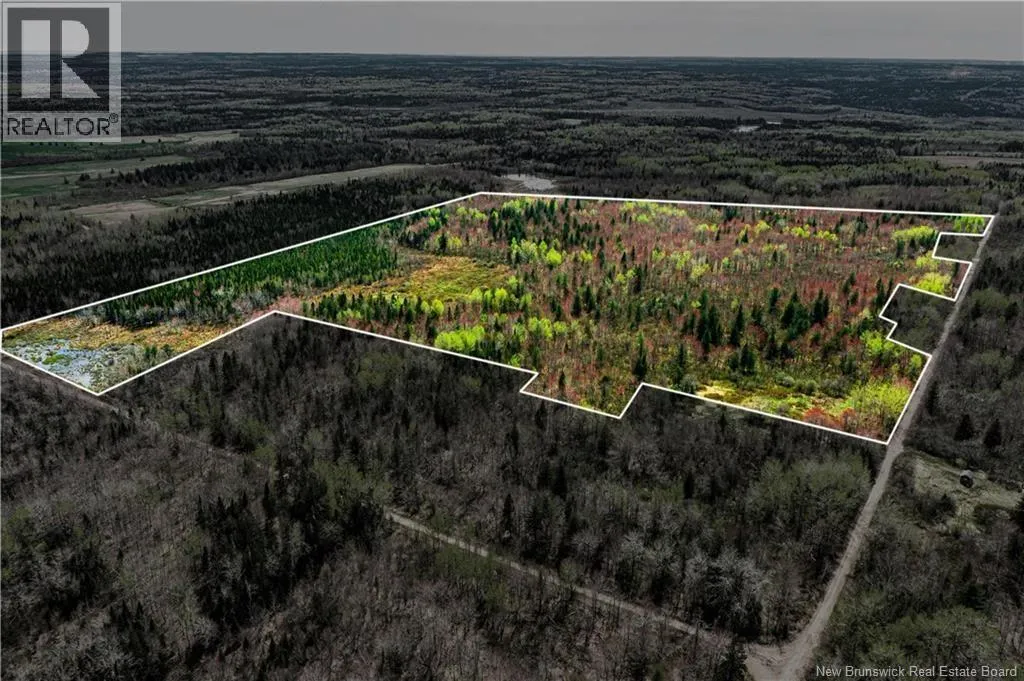 Lot Saint Damien, Saint-Damien, New Brunswick E4V 3E6