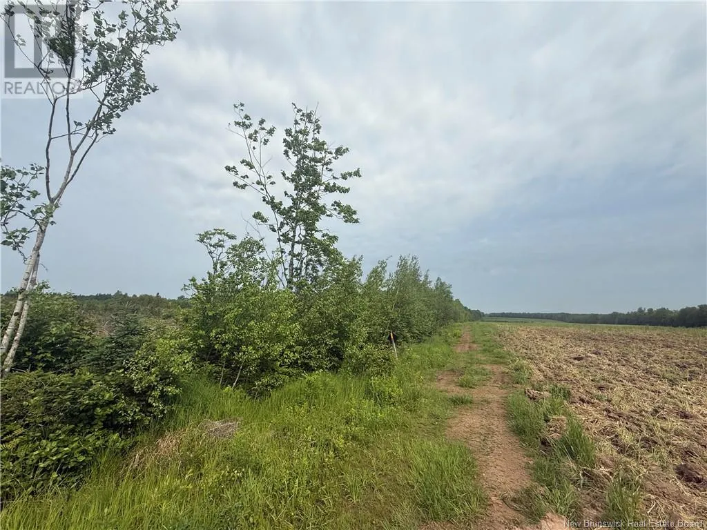 Lot Saint-damien Road, Sainte-Marie-De-Kent, New Brunswick E4V 3E5