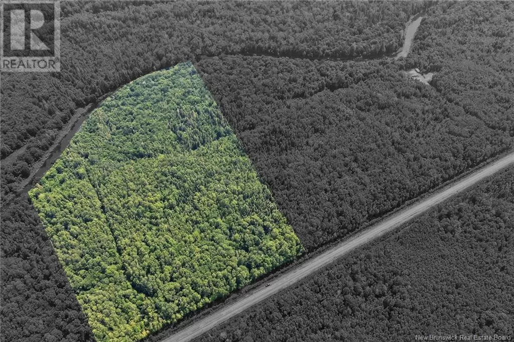Lot Salmon River Road, Harcourt, New Brunswick E4T 3W8