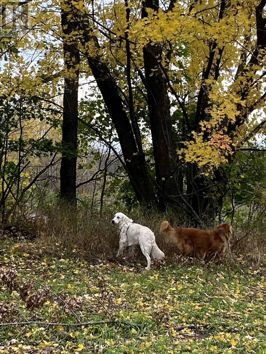 Lot Sapphire Drive N, South Glengarry, Ontario K6H 7J1