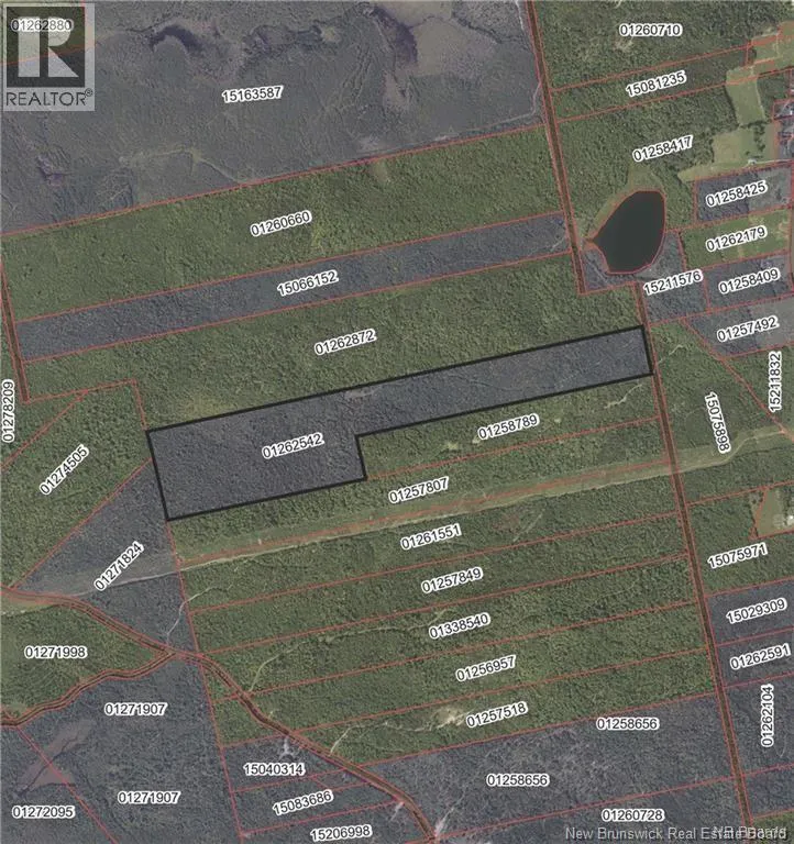 Recreational for rent: Lot Scotch Ridge Road, Hayman Hill, New Brunswick E3L 5A8