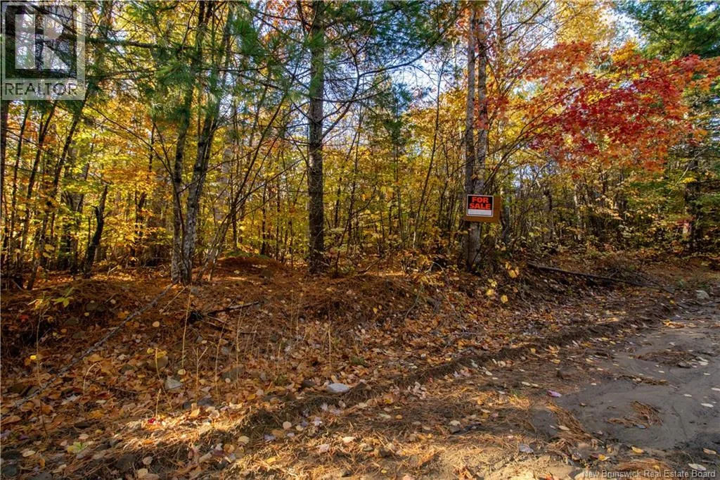 Recreational for rent: Lot Spring Road, Elgin, New Brunswick E4Z 1V3