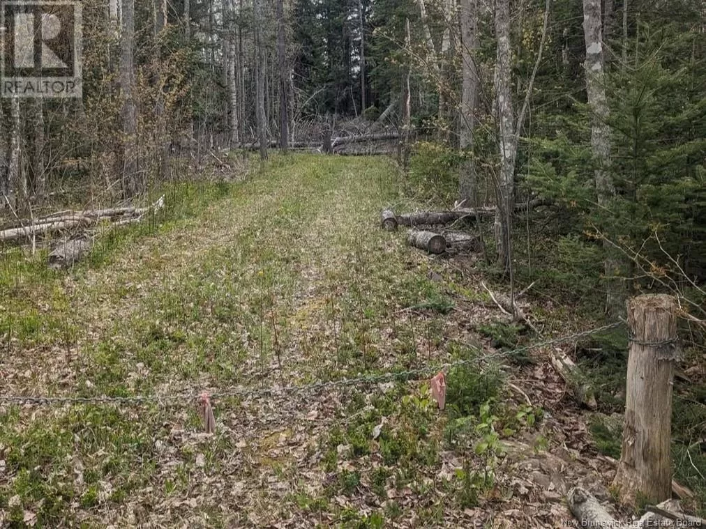 Lot Upper Cape Road, Botsford, New Brunswick E4M 2W7