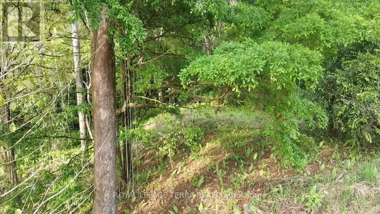 Lot8-65 Cinco Ventanas Road E, Costa Rica, Ontario