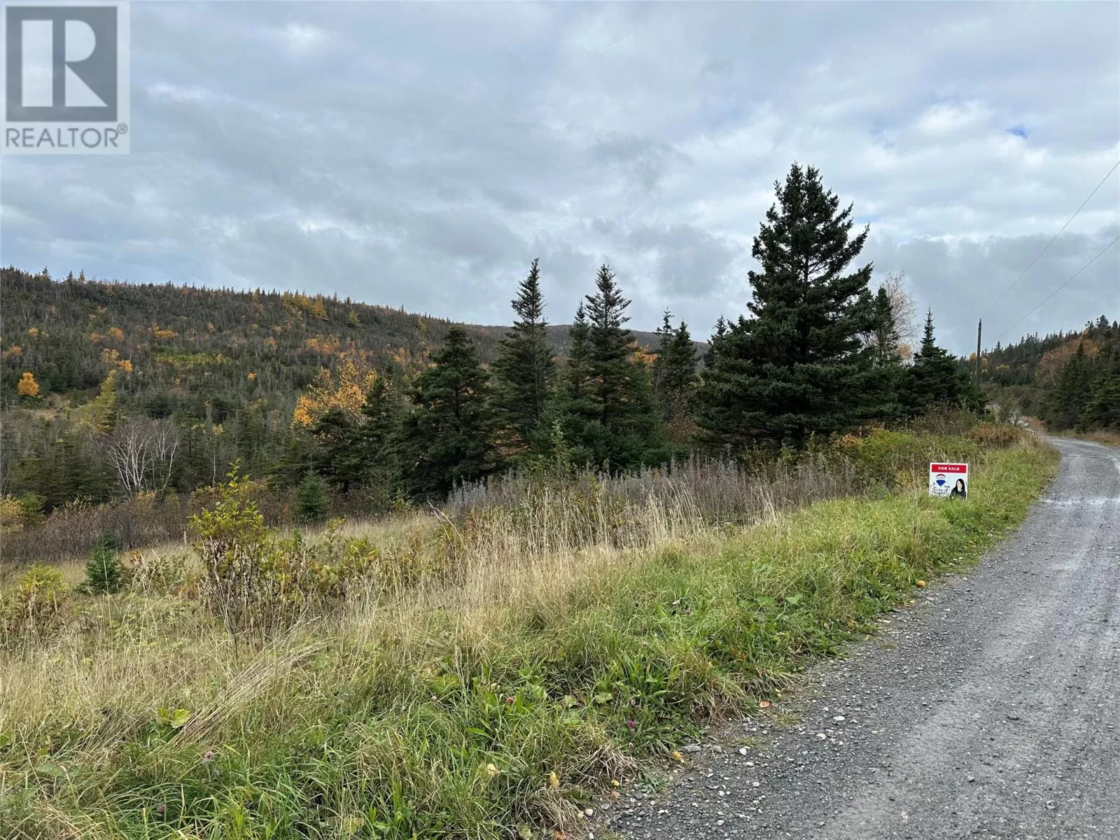 Lots 0-3 Neddies Harbour Road, Norris Point, Newfoundland & Labrador A0K 3V0