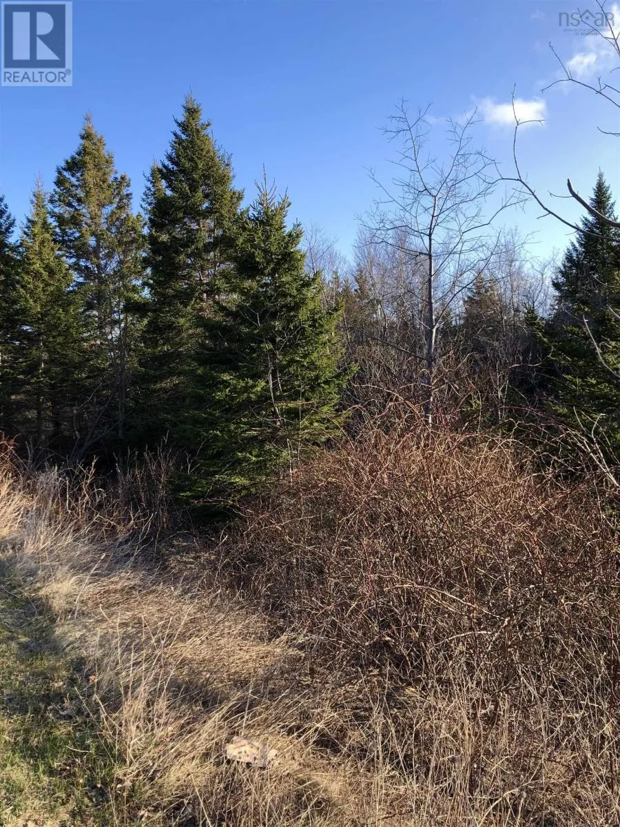 Lots 14 & 15 Highview & Clough Ave, Port Hastings, Nova Scotia B9A 1K8