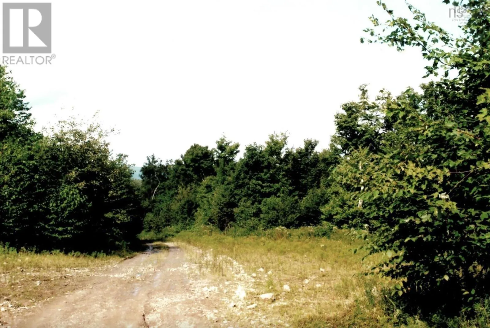 Lots 2 & 3 Big Brook Road, Big Brook, Nova Scotia B0E 2Y0