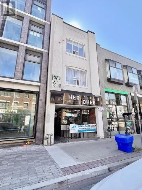 Lower Level - 599 Bloor Street W, Toronto, Ontario M6G 1K6