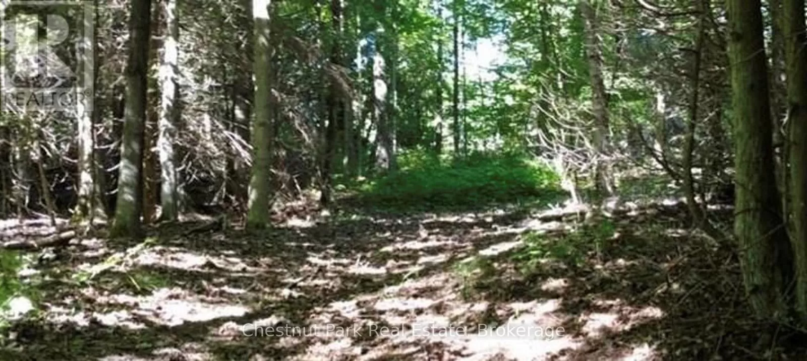 Lt 11 Concession 4 Ebr, Northern Bruce Peninsula, Ontario N0H 1W0