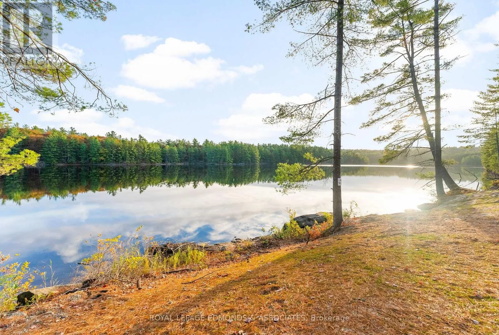 Lt 12 Voyageur Bay Trail, Whitewater Region, Ontario K0J 1V0