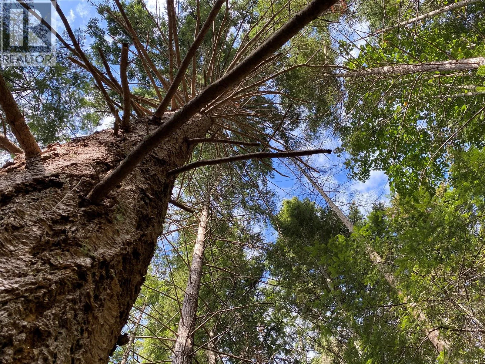 Lt 39 Jackpine St, Gabriola Island, British Columbia V0R 1X1