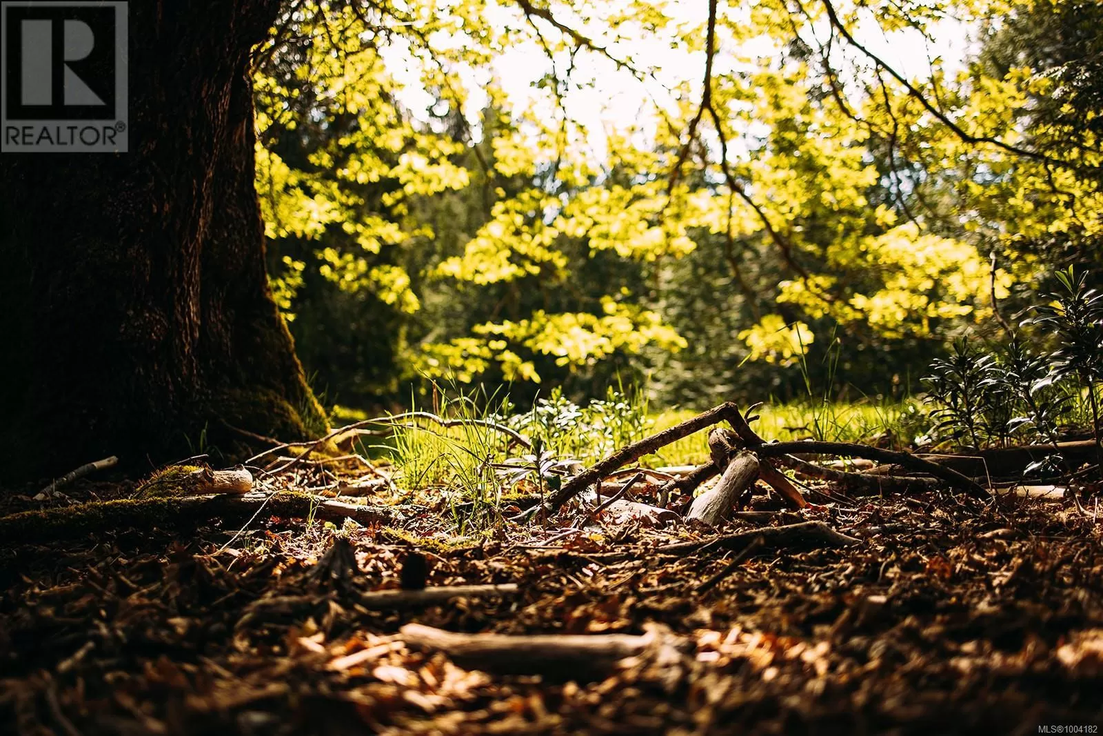 Lt 8 Sitka Grove, Gabriola Island, British Columbia V0R 1X0