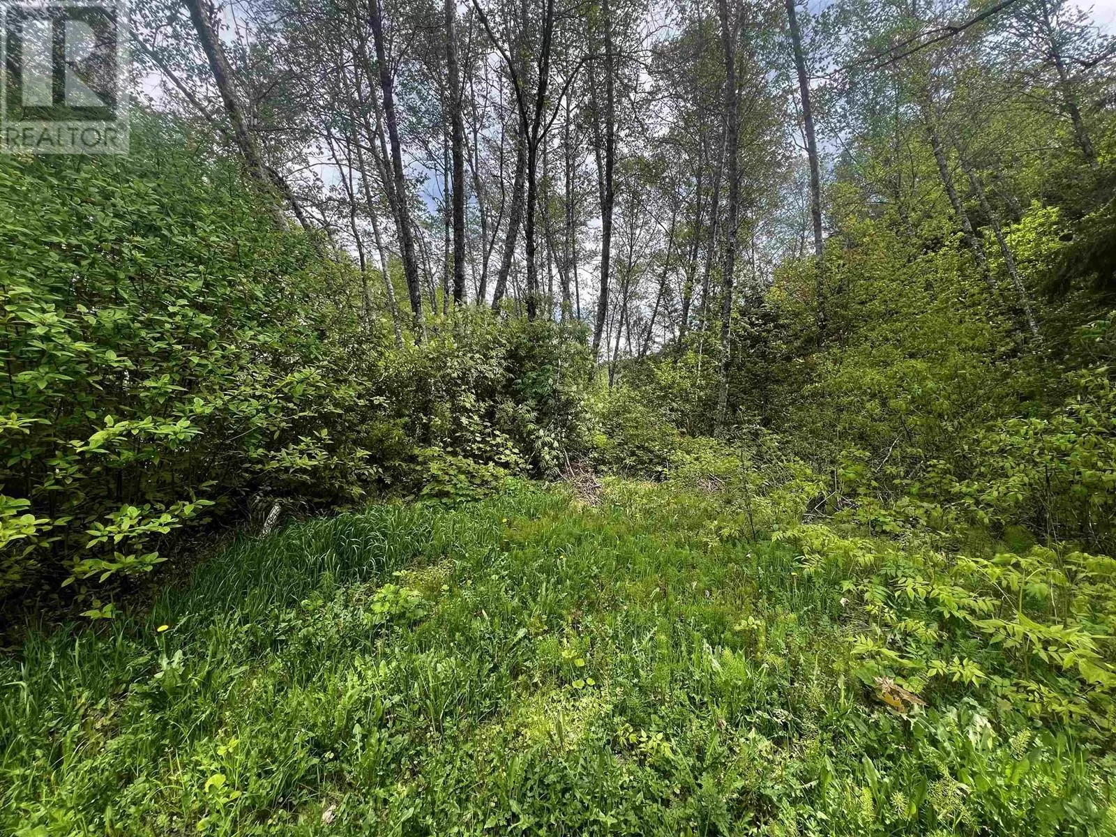 Maple Street, Terrace, British Columbia V8G 3Z3