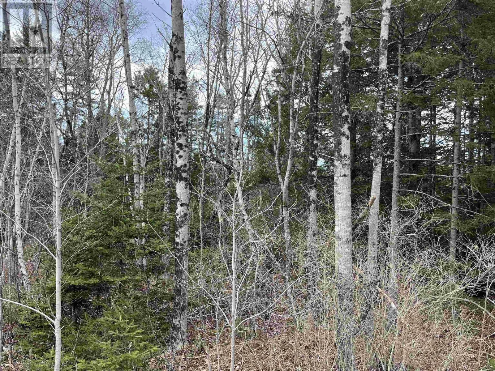 N-200 Sarty Road, Hebbs Cross, Nova Scotia B4V 0X6