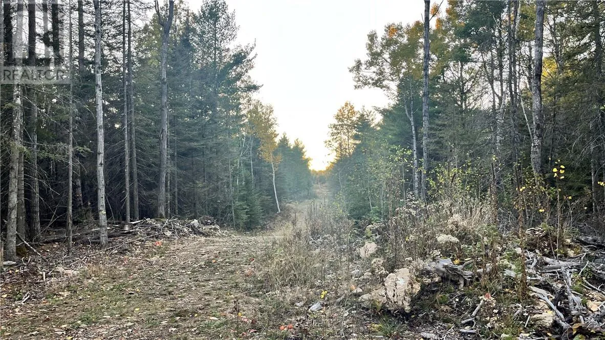 Na Checkerboard Lane, Gore Bay, Ontario P0P 1H0