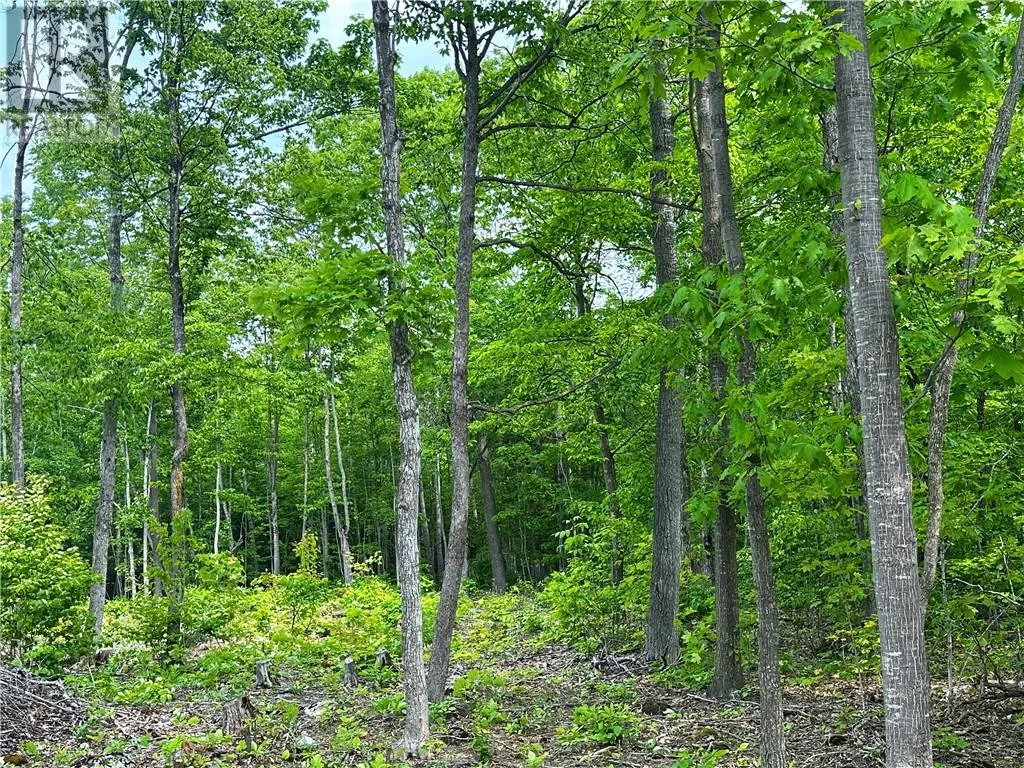 N/a Highway 542, Mindemoya, Manitoulin Island, Ontario P0P 1S0