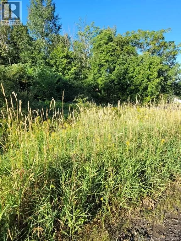 N/a Mark Street, Grafton, New Brunswick E7N 1N9