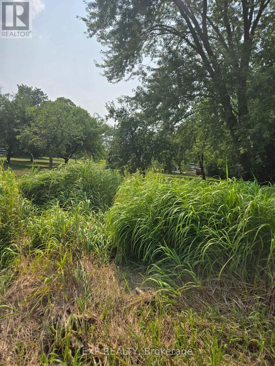 N/a Metro Road N, Georgina, Ontario L4P 3C8